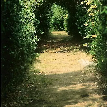 Bed and Breakfast Palais Briau