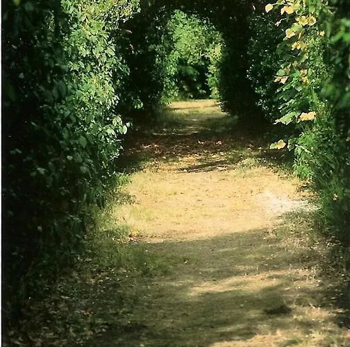 Panzió Palais Briau